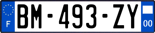 BM-493-ZY