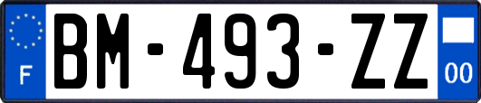 BM-493-ZZ