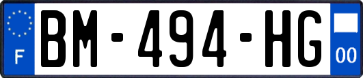 BM-494-HG