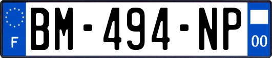 BM-494-NP