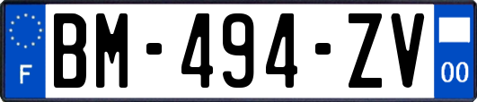 BM-494-ZV