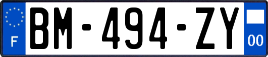 BM-494-ZY