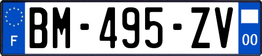 BM-495-ZV