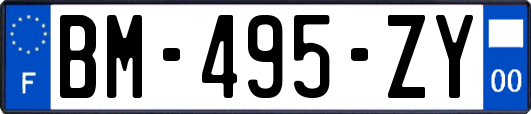 BM-495-ZY