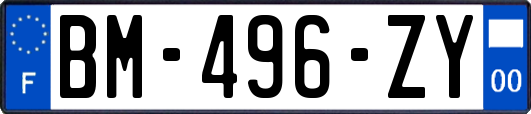 BM-496-ZY