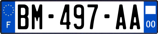 BM-497-AA