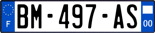 BM-497-AS