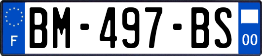 BM-497-BS