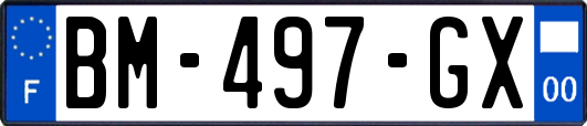 BM-497-GX