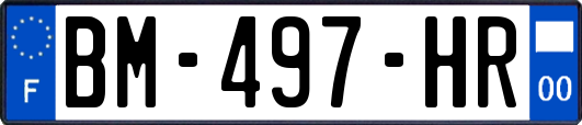 BM-497-HR