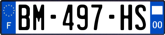 BM-497-HS