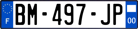 BM-497-JP