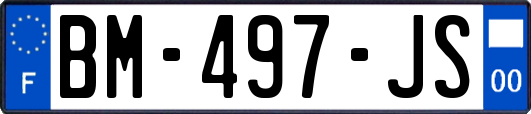 BM-497-JS