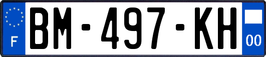 BM-497-KH