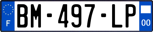BM-497-LP