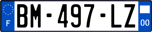 BM-497-LZ