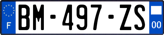 BM-497-ZS