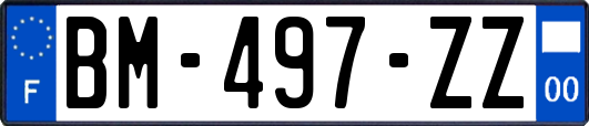 BM-497-ZZ