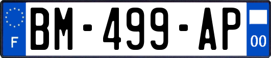 BM-499-AP