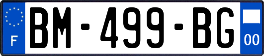 BM-499-BG