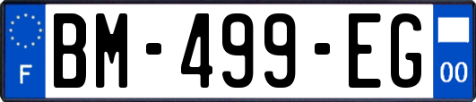 BM-499-EG