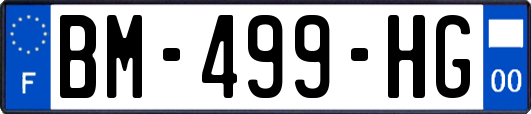 BM-499-HG