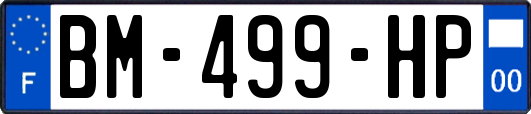 BM-499-HP