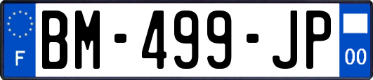 BM-499-JP