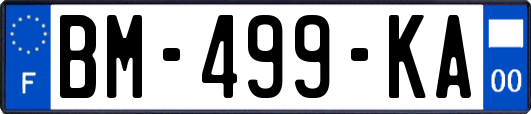BM-499-KA