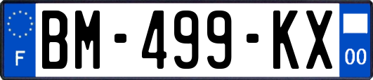 BM-499-KX