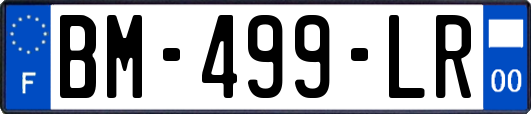 BM-499-LR