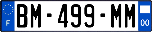 BM-499-MM