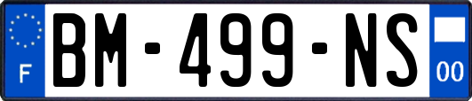 BM-499-NS