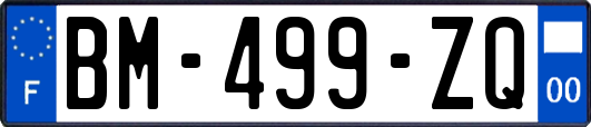 BM-499-ZQ