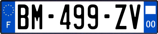 BM-499-ZV