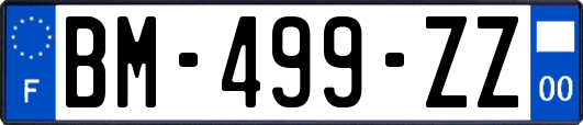 BM-499-ZZ