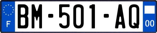 BM-501-AQ