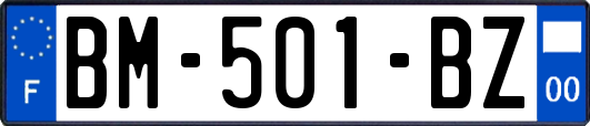 BM-501-BZ