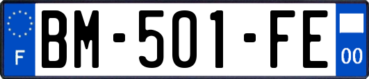 BM-501-FE