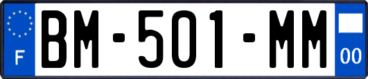 BM-501-MM