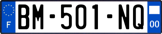 BM-501-NQ