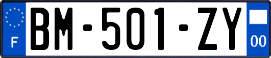 BM-501-ZY