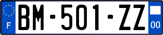 BM-501-ZZ