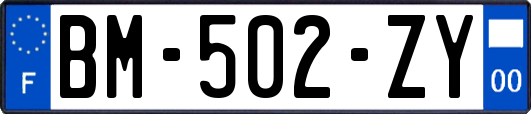 BM-502-ZY