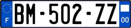 BM-502-ZZ