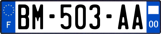 BM-503-AA