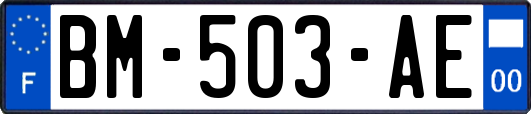 BM-503-AE