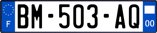 BM-503-AQ