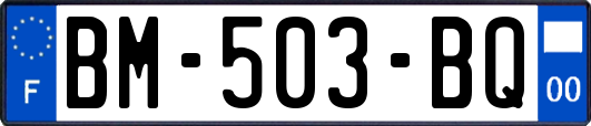 BM-503-BQ