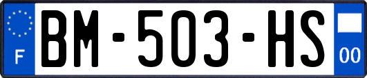 BM-503-HS
